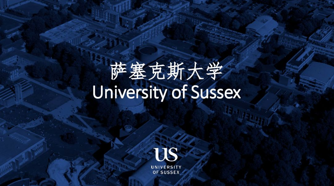 2022上海财经大学-英国萨塞克斯大学项目