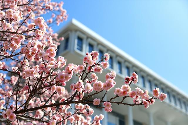 2022上海应用技术大学-韩国国立全南大学中文MBA硕士留学项目