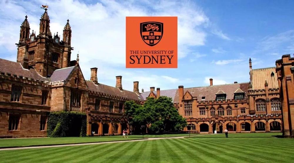 2022山东财经大学-悉尼大学定向班