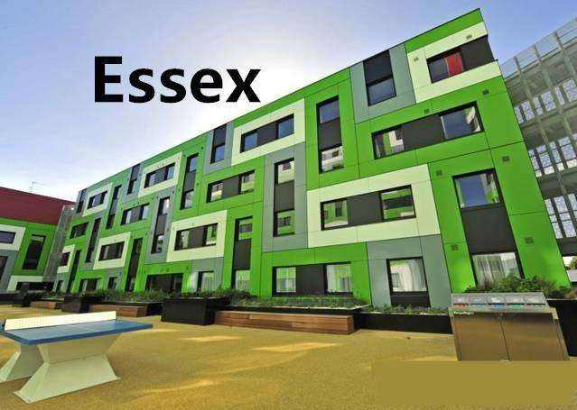 英国埃塞克斯大学(1+3)