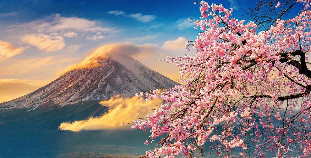 2022年北京外国语大学-日本大学免&ldquo;留考&rdquo;直录项目