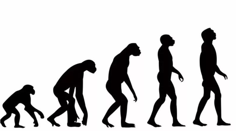 1649380535804909.jpg 屏幕截图 2022-04-08 091238.jpg