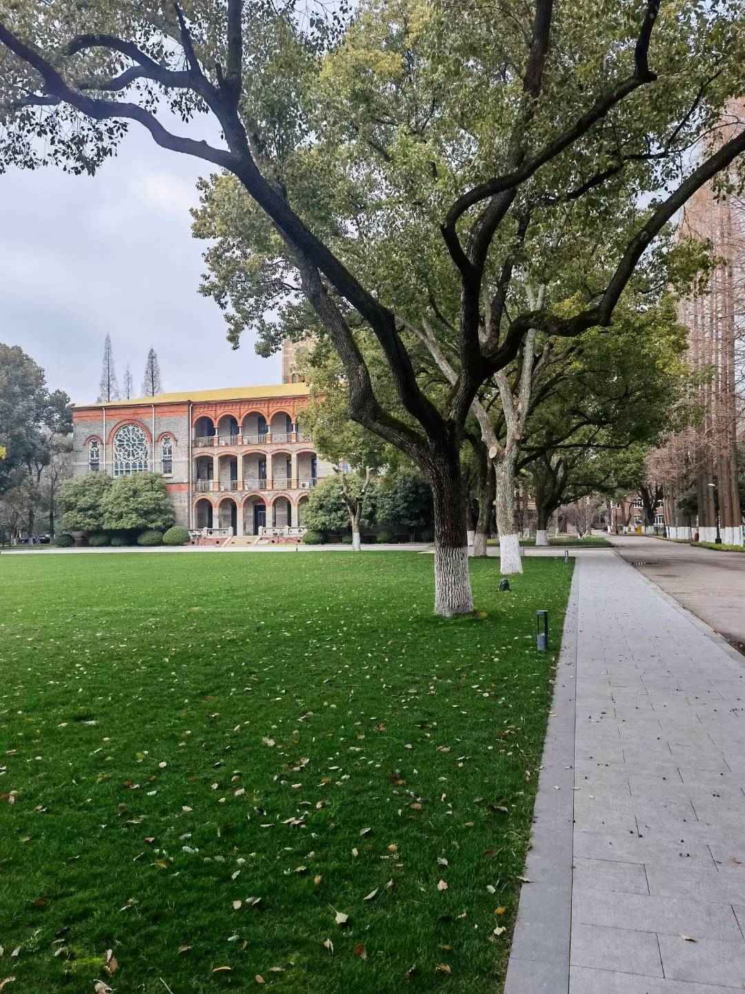 1654141658125291.jpg 1654141658125291.jpg