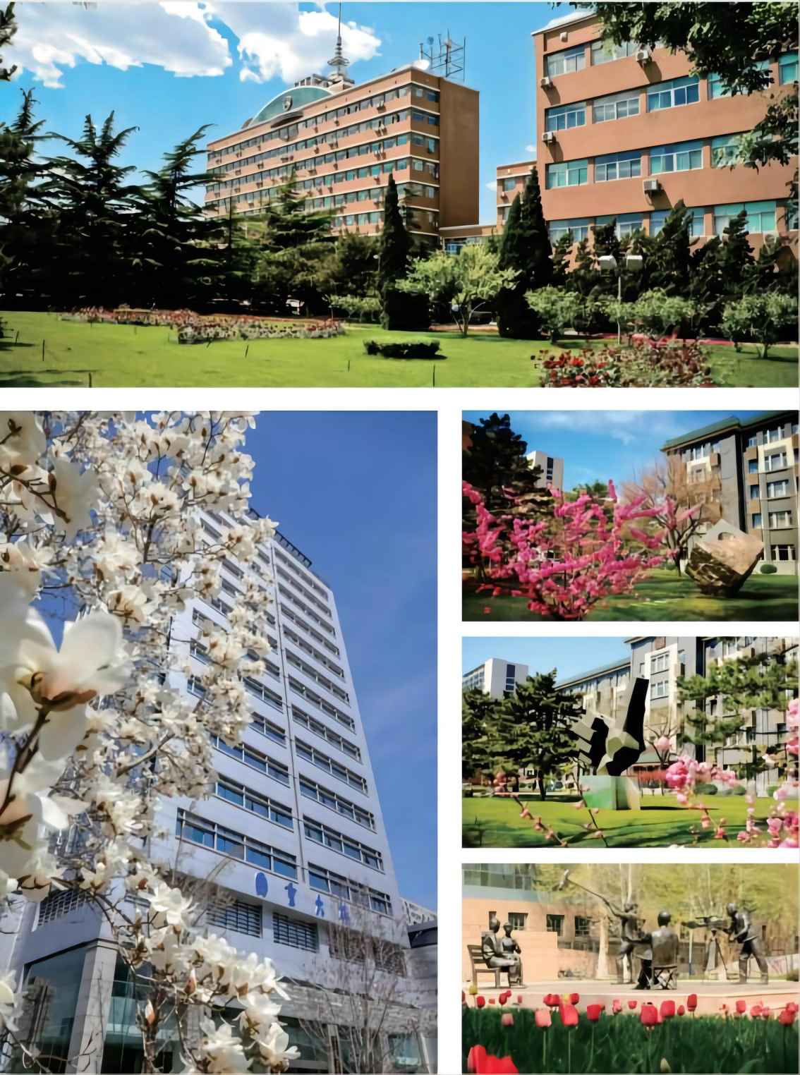 1654162546118406.jpg 1654162546118406.jpg