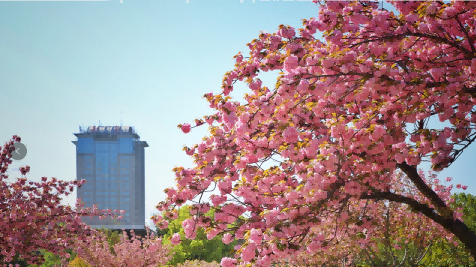 1654410831100005.png 1654410831100005.png