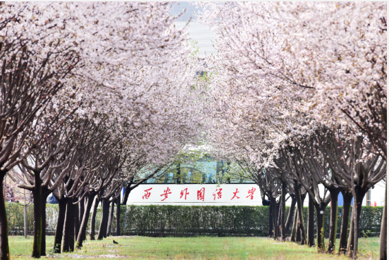 1654416958707012.png 1654416958707012.png